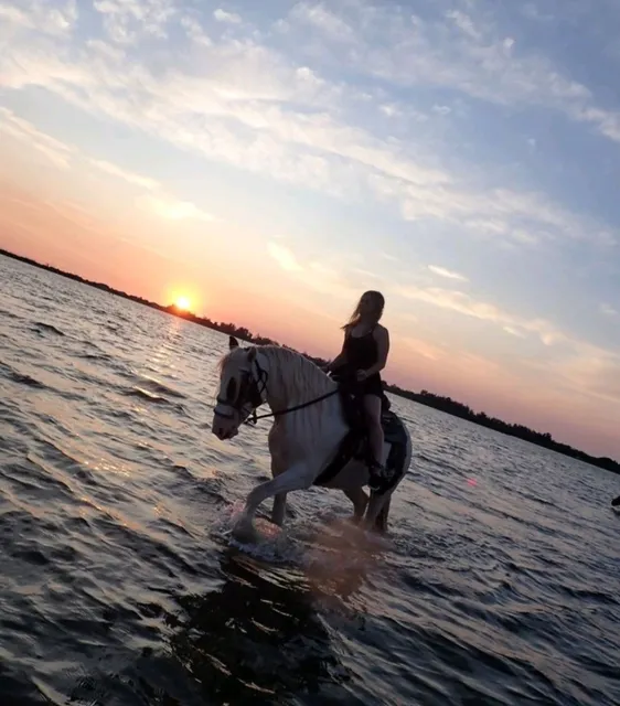 Cponies Beach Horseback Rides