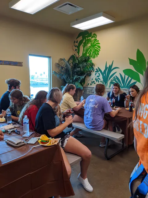 JungleTrek Rockwall Indoor Playground