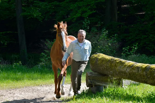 Reiterpension Marlie