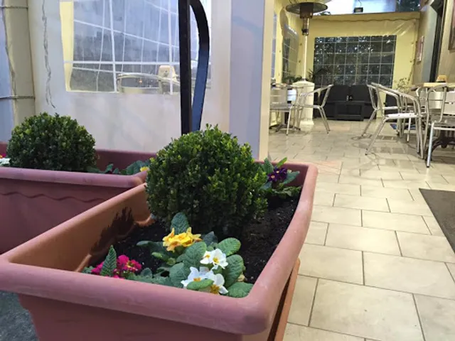 Hollywood Caffè di Marucci Valeria