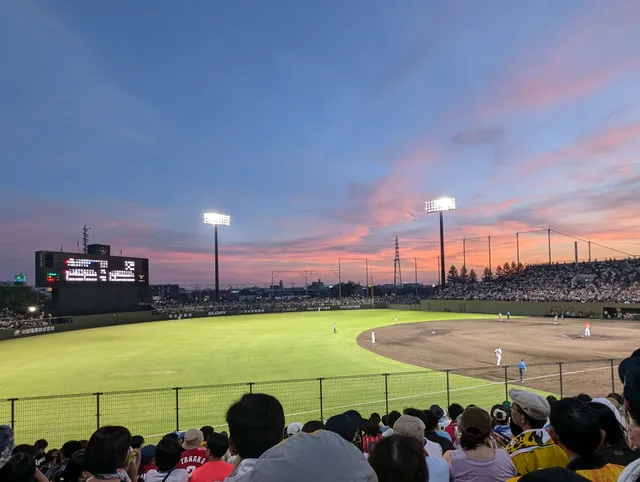 Wink Baseball Stadium