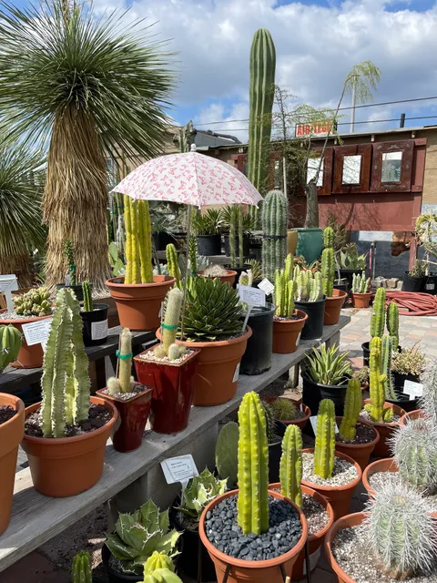 California Cactus Center