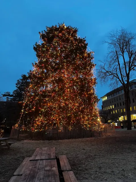 Palmer Square Princeton 08540