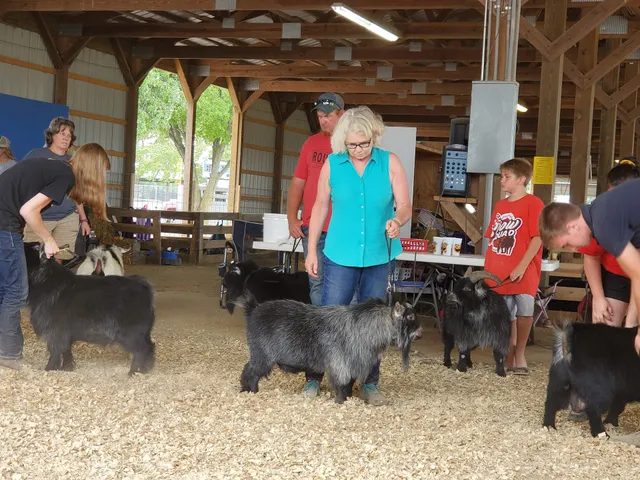 Moultrie-Douglas County Fair