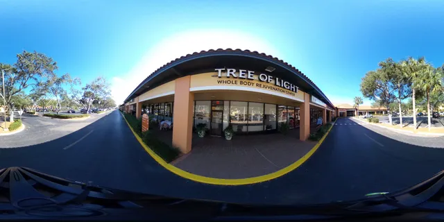 Tree of Light Whole Body Rejuvenation Center