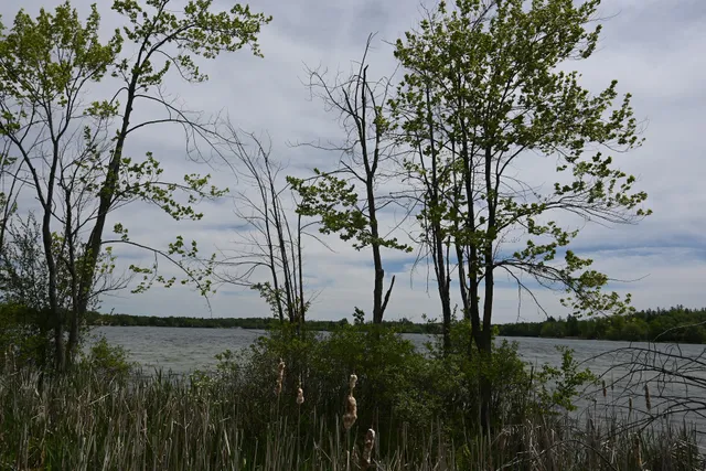 Lake Wilcox Fish & Wildlife Refuge