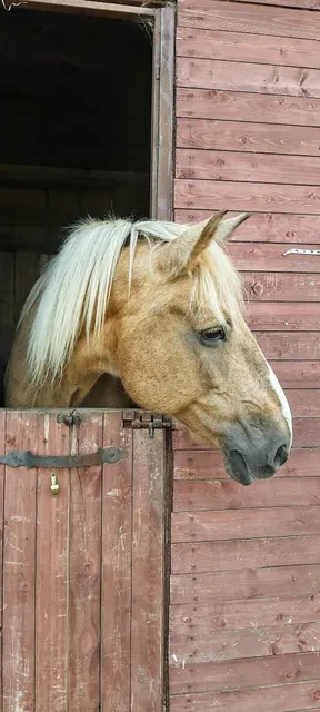 Ksk "Balashikhinskiy"