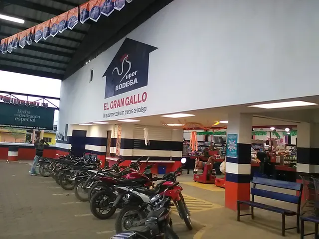 Bodegas El Gran Gallo