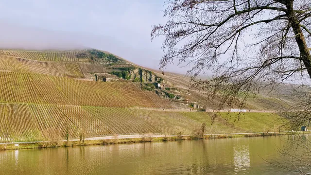 Peter Busch Ferienwohnungen