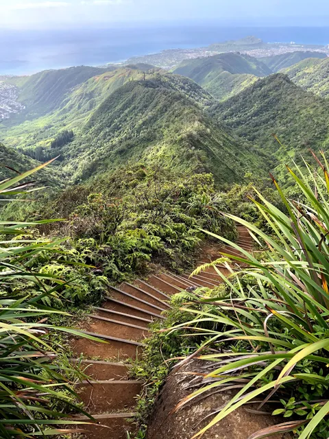 Wiliwilinui Ridge Trail