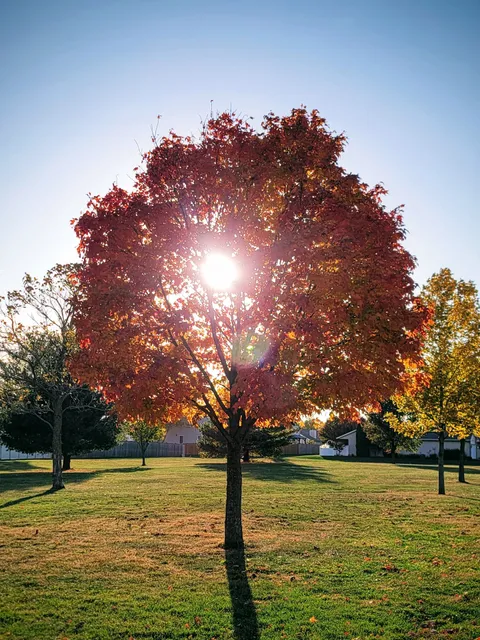 Turnberry Ridge Park