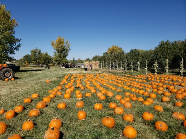Wagner's Farmland Experience