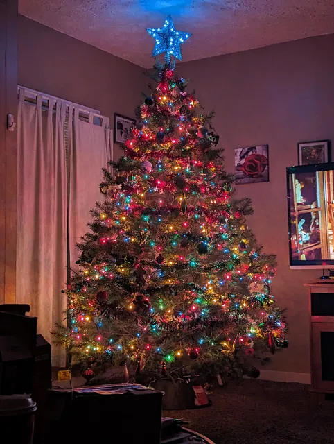 Londrico's Christmas Trees