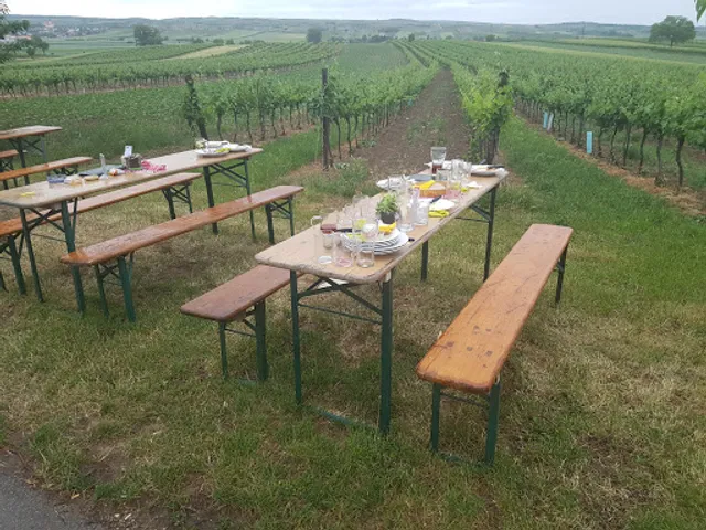 JHM Preyer's Rad- & Pferdetreff