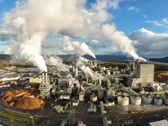 Smurfit Westrock Longview Corrugated