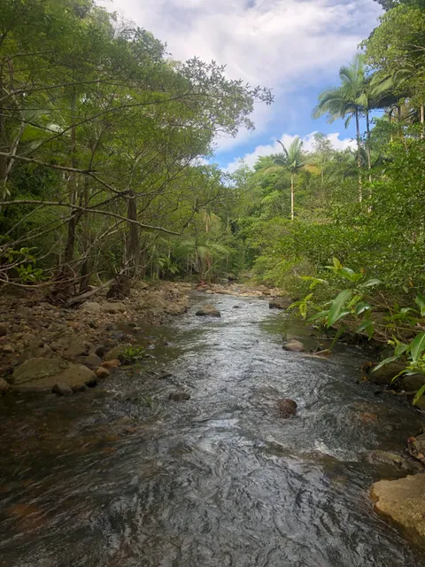 Conway National Park