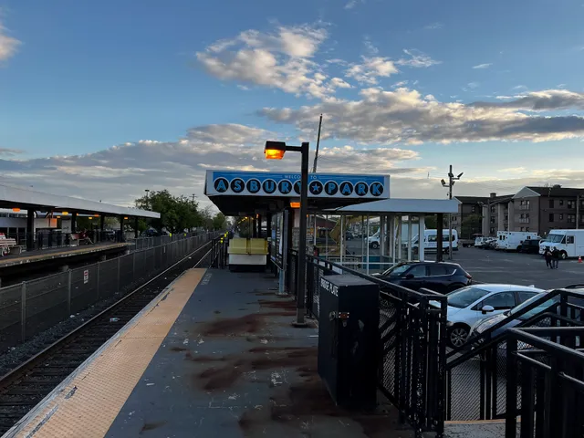 Asbury Park Community Farm