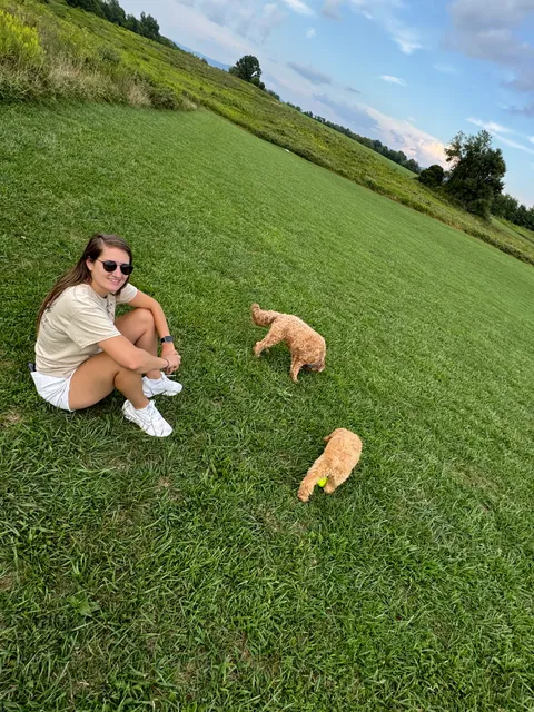 Coyner Springs Dog Park