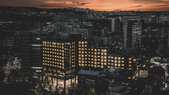 Nine Tree by Parnas Seoul Insadong