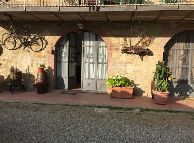 Picchio Della Tinaia