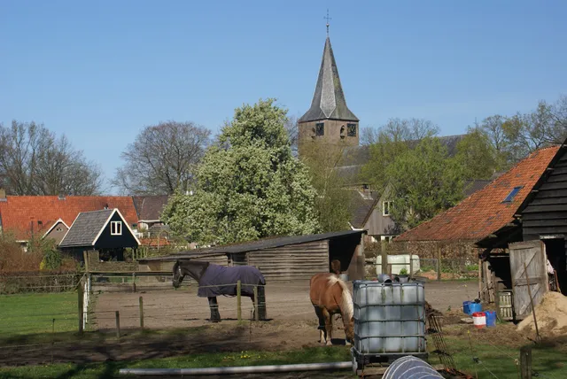 Onder de Eiken (Under the Oaks)