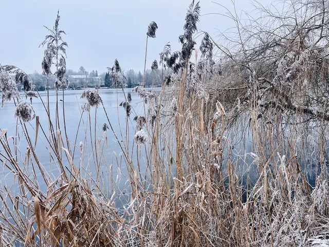 Appartement Bad Waldsee