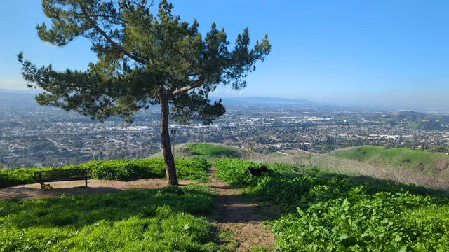 Sycamore Canyon Trail