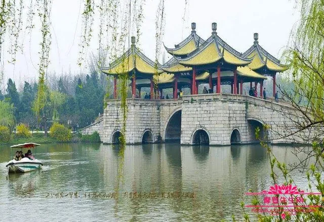 Sweet Osmanthus Rain at Manjuelong Village