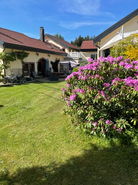 Chambres d’hôtes plateau des mille étangs