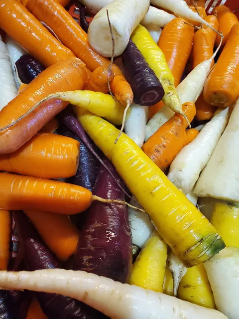 Cornerstone Farm/Cornerstone Ag Service