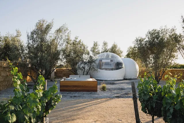 Campera Hotel Bubble