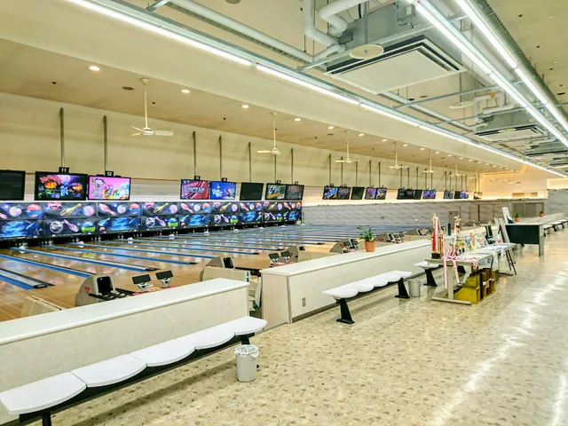 Mainichi Bowl Hougawa