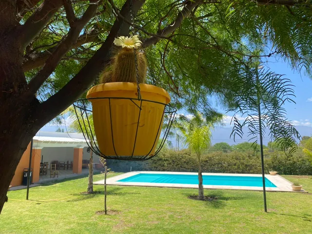 Cepas Del Valle - Cabañas y Suites