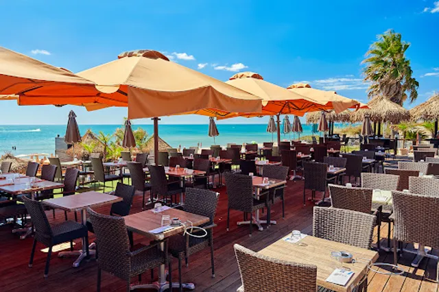 Sun Beach René Oltra