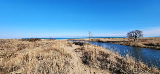 Illinois Beach Nature Center