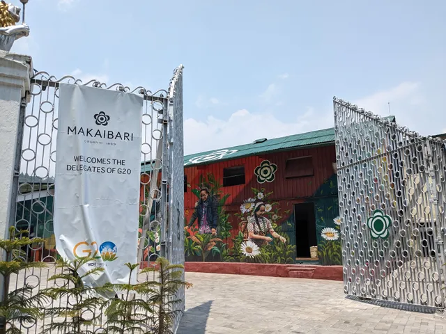 Makaibari Tea Estate