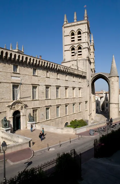 Université Montpellier I - Faculty of Medicine