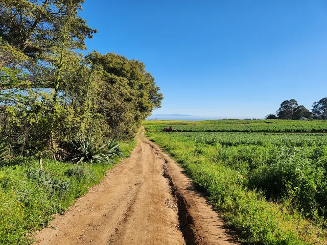 CASFS Farm And Garden