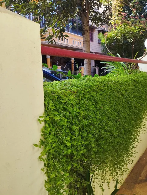 Yeshwanth Paying Guest