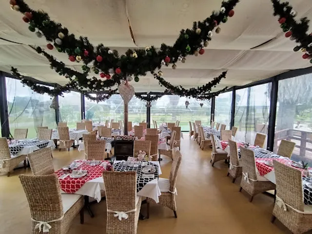 Rock Salt Restaurant Albany