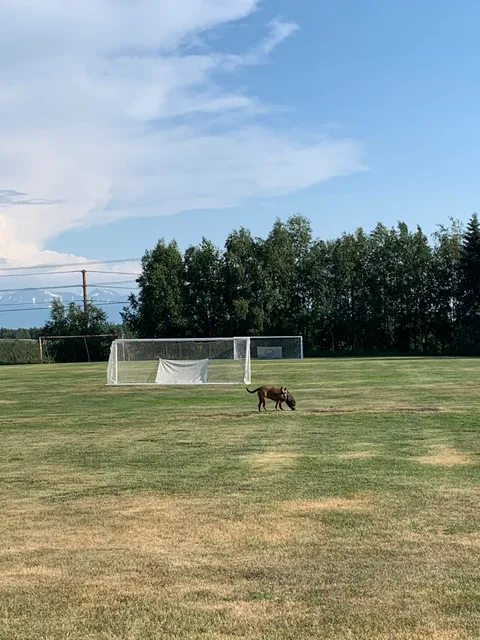 Javier De La Vega Park