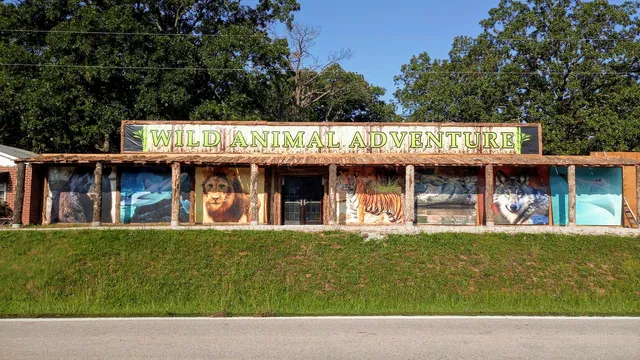 Wild Animal Adventures