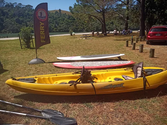 Coromandel Paddle Boarding
