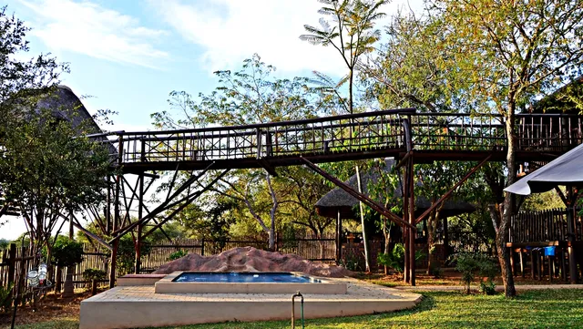 Bona Ngwenya Lodge & Safaris