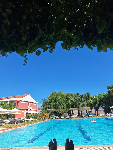 Olive trees Garden Lixouri