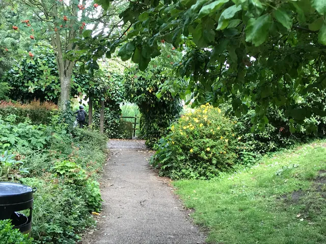 The John Dawber Garden