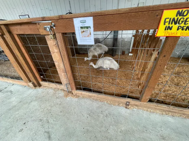 Carpinito Bros. Farm Fun Yard