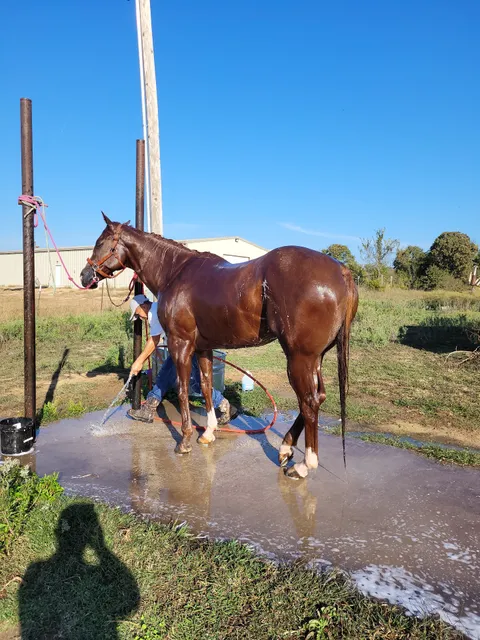 Rancho El Centenario