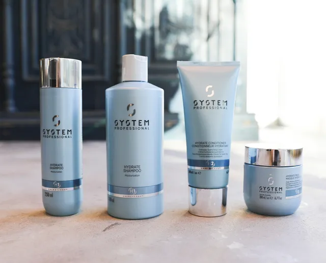 SCREEN GINZA MAISON.