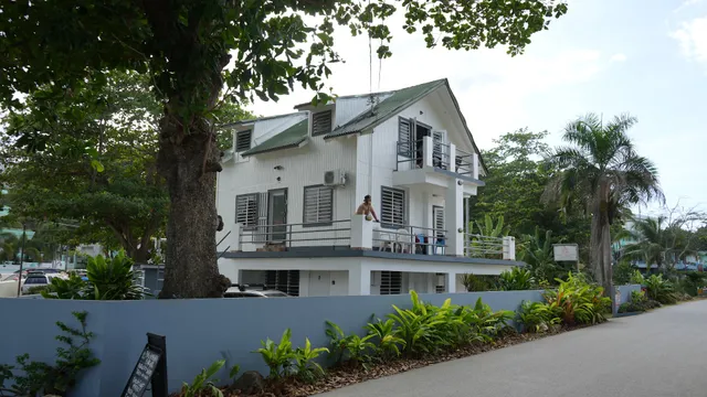 The Puntas Tree House